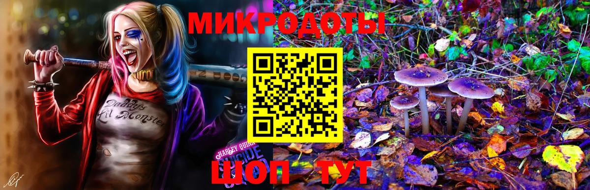 Галлюциногенные грибы MAGIC MUSHROOMS Сургут