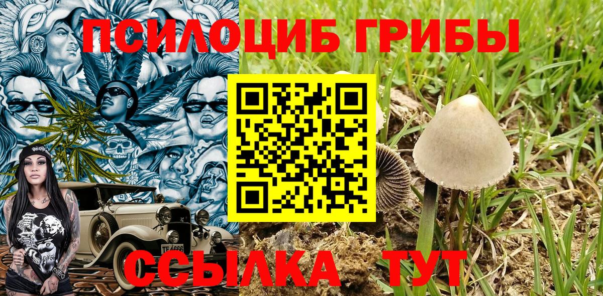 Сургут  Псилоцибиновые грибы Psilocybe  Вход с VPN  Псилоцибиновые грибы MAGIC MUSHROOMS 